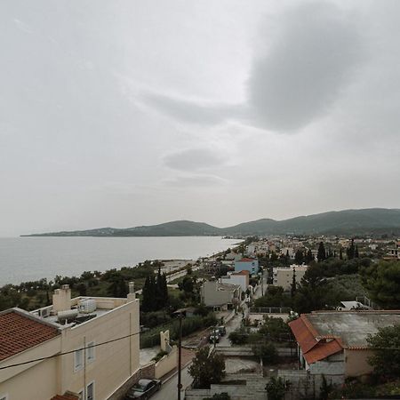 Niki House Leilighet Volos Eksteriør bilde